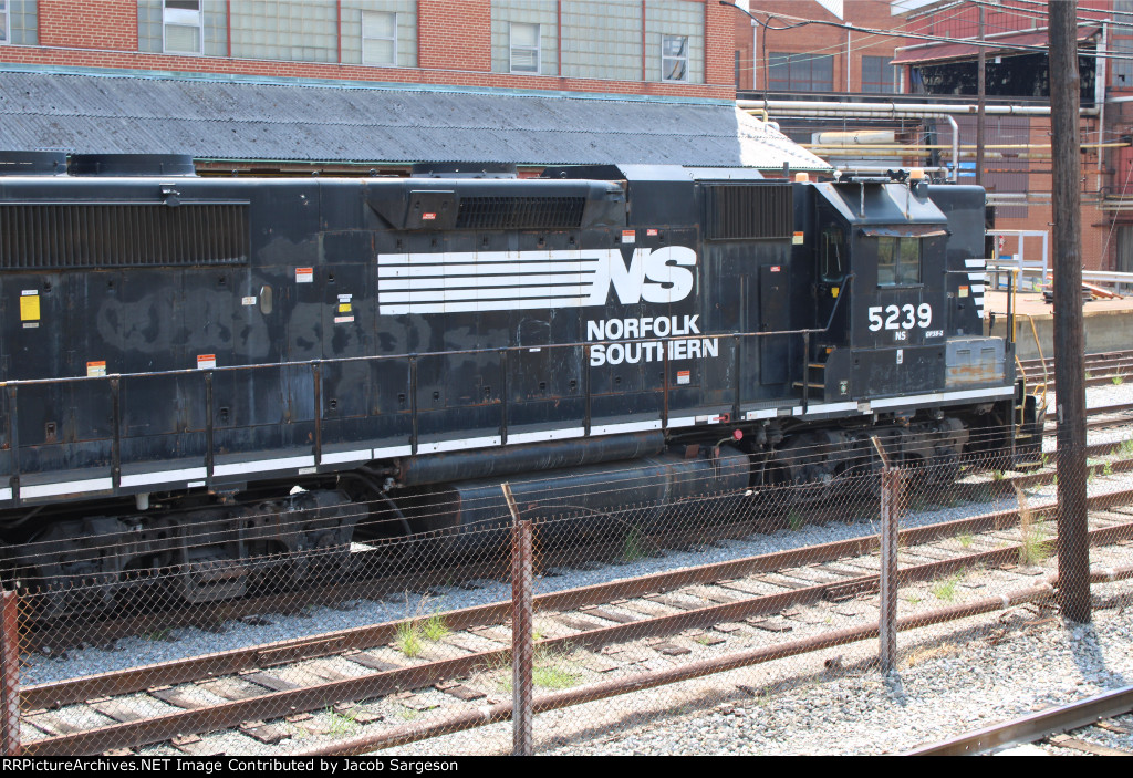 NS5239